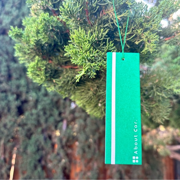 About Car Air Freshener | 24 Count (Pack of 1) | Mystic Trails - Picture 5 of 6